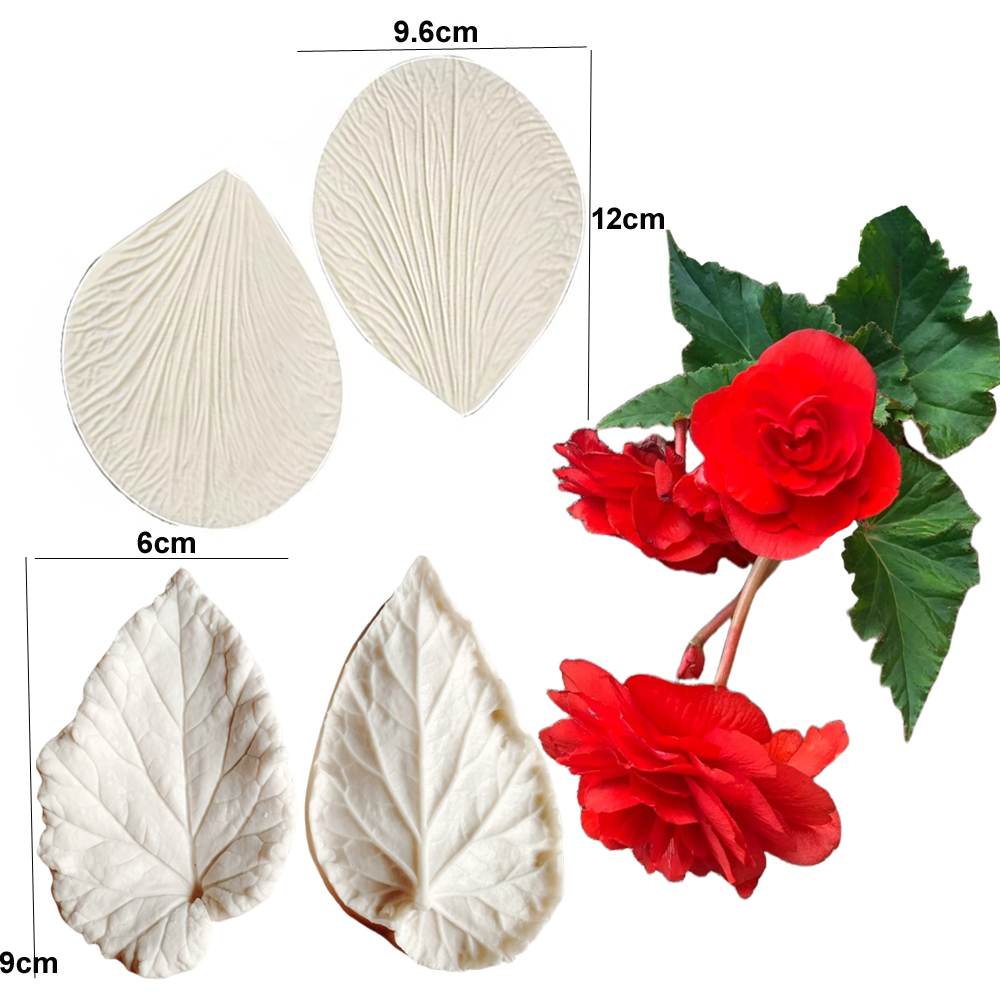 Begonia Tuberous Veiner Silico - đánh giá và giá Eco Art Craft
