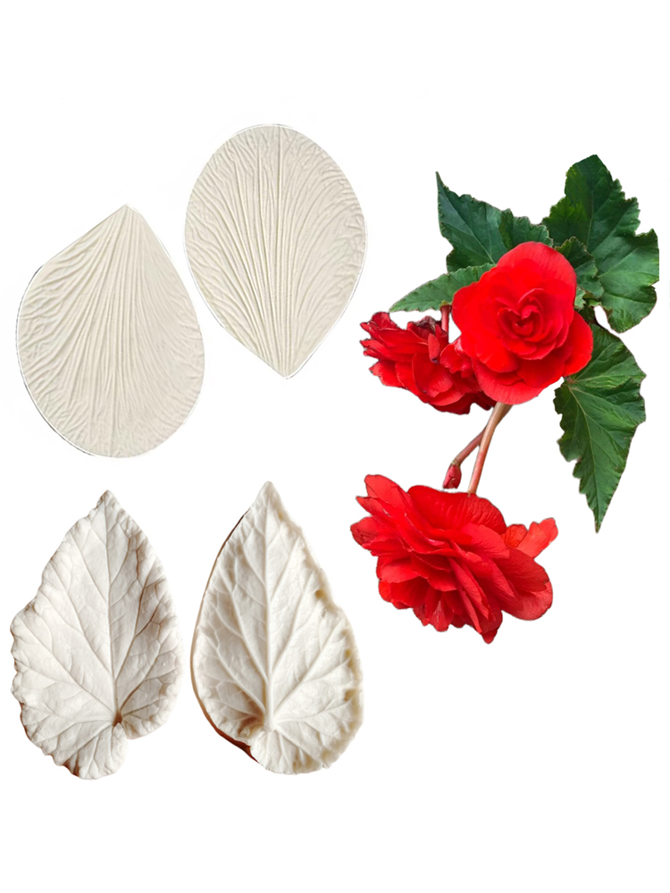 Begonia Tuberous Veiner Silico - đánh giá và giá Eco Art Craft